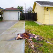 Front yard landscaping ideas for color. Where Front Yards Collide Property Lines In Pictures