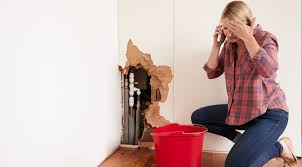 They come in all shapes and sizes and can however, some of these problems might be common ones and can be fixed by yourself without the need for any special tools and equipment. Some Plumbing Problems That You Should Not Fix Yourself