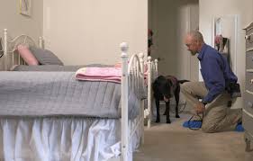 Add them now to this category in richmond, tx or browse best pest control for more cities. Bed Bug Exterminator Houston Tx Abc Home Commercial Services