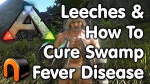 Harvesting leeches with the megatheriumwill get yo. Ark Survival Evolved How To Cure Swamp Fever Disease Leeches Youtube