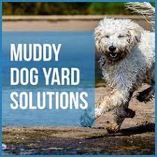 Muddy Dog Yard Solutions 5 Solutions Worth Considering Dog Yard Muddy Dog Dog Friendly Backyard