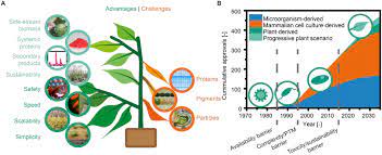 The journal is still in scopus. Frontiers Plant Molecular Farming Integration And Exploitation Of Side Streams To Achieve Sustainable Biomanufacturing Plant Science