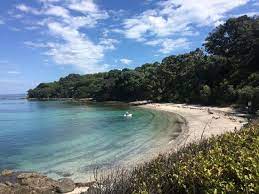 It is 30 km ne of auckland and 4 km from whangaparaoa peninsula. Rock Climbing Or Snorkelling Review Of Tiritiri Matangi Island Auckland Central New Zealand Tripadvisor