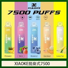 梟客XIAOKE一次性電子菸拋棄式7500口- 佩特里DOTMOD DOTPOD電子煙主機煙彈空倉官網