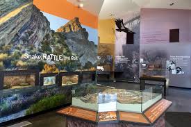 Real estate partner, asset management real estate, and estate manager. Asset Management Los Angeles County