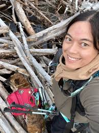 Are dogs allowed inside cabins and restaurants