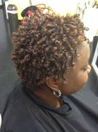 Daria Rosonne S Photo On Styleseat Chicago Il Coiling Natural Hair Natural Hair Styles Hair Inspiration