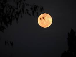 Tons of awesome moon hd wallpapers to download for free. Sad Moon Sky Nature Background Wallpapers On Desktop Nexus Image 2433625