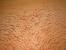 1 4 Inch Pubic Hair For Waxing