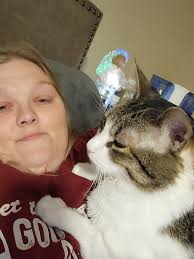 lost and found animals in des moines iowa