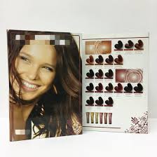 Hot Item Synthetic Hair Swatch Color Chart With Color Wheel
