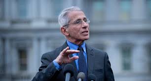 No chairs, just stretcher beds. 10 Things You Didn T Know About Dr Fauci Jetset Times