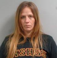 Names released in Bethel, Cruso, Lake Logan drug bust that nabs 25