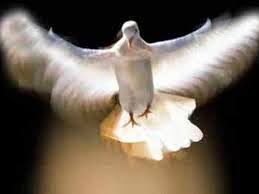 Επειδή «εν τω άδη ουκ έστι μετάνοια», οι προαπελθόντες δεν έχουν πια τη δυνατότητα να βοηθήσουν. Giati Gonatizoyme Treis Fores Ston Esperino Ths Penthkosths Agioy Pneymatos Oi Eyxes Ths Gonyklisias