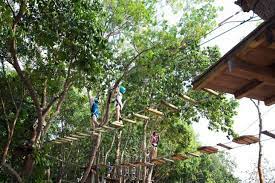 Explore alsunga forest trail and spot various objects to advance. Bedok Reservoir Park Forest Adventure Tree Top Course Tickikids Singapore