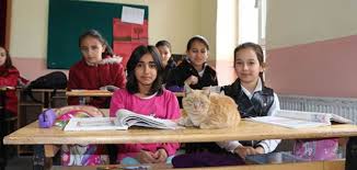 Konya Da Ogrencilerin Sahiplendigi Kedi Derslere Giriyor