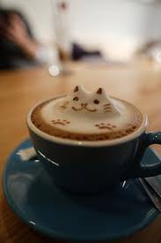 Pin On Crazy Cat Stuff