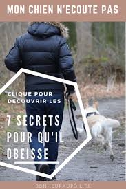 Mon Chien N Ecoute Pas 7 Secrets Pour Qu Il Obeisse Bonheur Au Poil Chien Jeu Chien Education Chien
