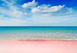 But the star attraction of this property is its location: 5 Pink Sand Beaches In The Caribbean How To Get To Them