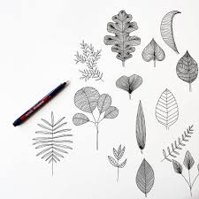 No Hay Ninguna Descripcion De La Foto Disponible Fineliner Art Tree Illustration Leaf Drawing