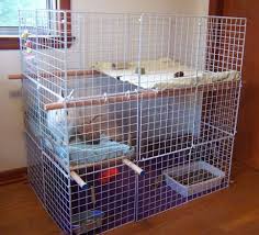 Besides, they need a playpen or run where they can exercise daily. Housing Rabbit Haven