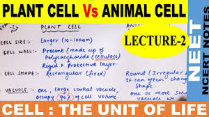 Maybe you would like to learn more about one of these? Differences Between Plant Cell And Animal Cell In Hindi Tricks Ncert Class 11 Neet 2021 Youtube