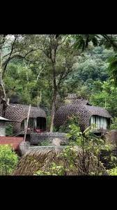 pin by dengxiong on 竹制建筑 tree tree trunk plants
