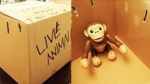 7 Gift Pranks For Friends Family How To Prank Youtube