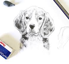 How to draw realistic cat eyes and cat fur with pencil using different techniques. How To Draw Animals Eyes Easy