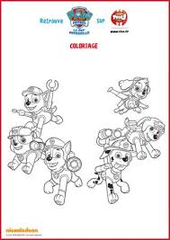 Coloriages La Pat Patrouille Puzzle Activite Vie Quotidienne Coloriage Pat Patrouille Coloriage Dessin Pat Patrouille