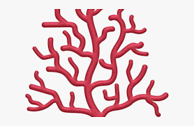 Transparent Embellishment Clipart Coral Reef Cartoon Png Png Download Transparent Png Image Pngitem Coral reef fish illustration, cartoon fish and coral reef, cartoon character, template, food png. coral reef cartoon png png download