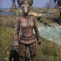 On your key ring you might have several keys for the house, one or two more for the car . Online Zasha Ja The Unofficial Elder Scrolls Pages Uesp