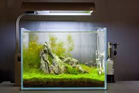 A wide variety of aquascaping fish tank options are available to you, such as material, feature, and aquarium & accessory type. Aquatic Layout Guide Rules Of Composition The Golden Ratio Creating Perspective And Layout Shapes Aquascape Art The Green Machine