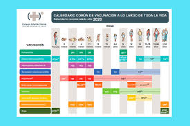 De la mano de iati, tu especialista en seguros de vida, toda la información sobre el calendario de vacunación 2020. Calendario De Vacunacion 2020 Soyde