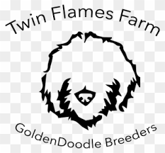 Free Png Goldendoodle Clip Art Download Pinclipart