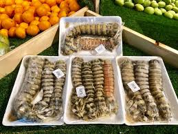 Kamun offers a local middle eastern interpretation of the best western represents. Kamun Udang Lipan Mantis Shrimp Uncle Rich Fresh Mart Facebook