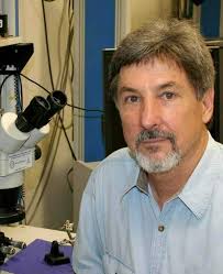 The Team < System Engineering And Laboratories (SEAL)