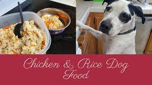 Homemade Chicken And Rice Dog Food Recipe Dog Food Recipes Dog Food Serving Food