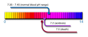 Your Bodys Ph Levels