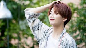 Born october 4th 1995) is a south korean singer and performer under pledis entertainment. Seventeen Jeonghan Seventeen