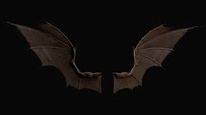 Bat Wings C4d Bat Wings Bat 3d Model