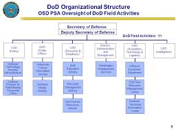 Organization Chart Activity Term Paper Example Nressaysrrw