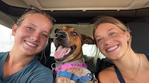 Monty here, (mt wade) my best mate Moshi went home