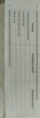 Pada hewan dan manusia proses pembelahan mitosis terjadi di semua. 4 Lengkapi Tabel Tentang Perbedaan Antara Pembelahan Mitosis Dengan Pembelahan Meiosis 5 Jelaskan Brainly Co Id