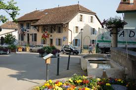 La Mairie De Veyrier Www Esther Lauber Ch Switzerland Swiss Alps Alps
