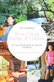 These surfaces are simple to bring back to new condition if your pet is shedding. Pet Friendly Bear Creek Lodge Cabins In Helen Endless Family Travels