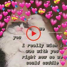 Pin On Cute