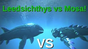 Feb 25, 2020 · the brute leedsichthys is a brute creature in ark: Leedsichthys Vs Mosasaurus Ark Survival Evolved Youtube
