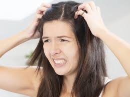 They prefer warm and dark coconut oil is a natural remedy to get rid of lice. 10 Most Effective Home Remedies For Head Lice That Really Work