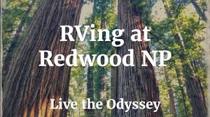 The trusted travel site for the latest reviews & lowest prices. Rv Camping At Redwood National Park S01e65 Live The Odyssey Youtube